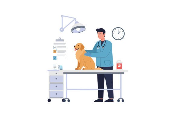 A Veterinarian Examining a Cheerful Gold