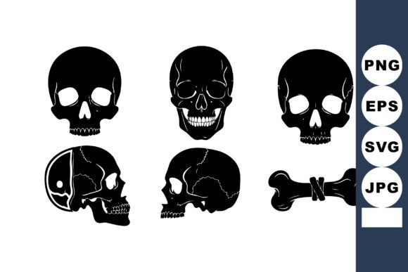 Human Skull and Bone Anatomy Vector Wit Review